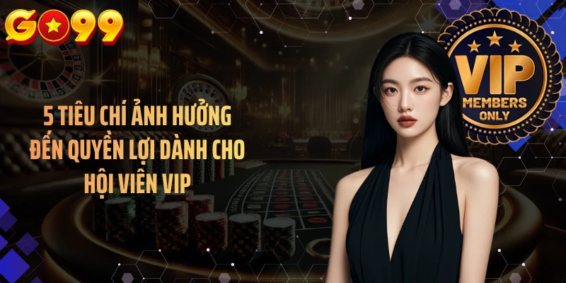 5 tiêu chí ảnh hưởng đến quyền lợi dành cho hội viên VIP